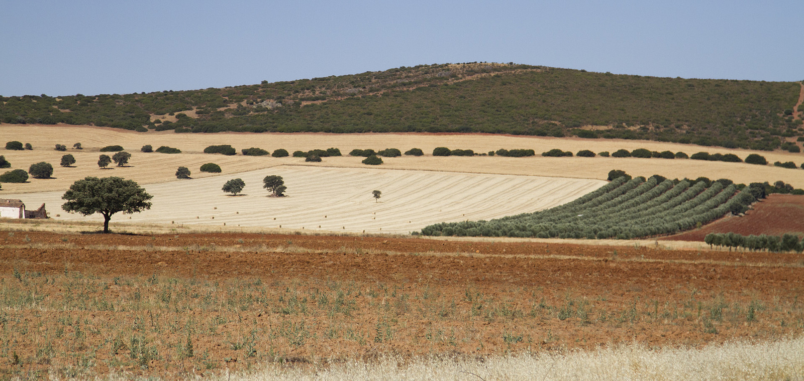 Tu casa rural en Badajoz - Reserva Online | Eresrural.com